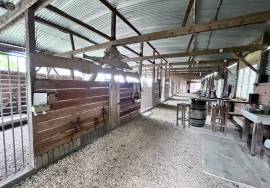 Detached Country House With Outbuildings and Land
