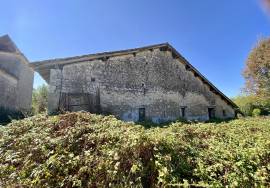 Stunning Country House with Land and Outbuilding