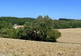 Stunning Country House with Land and Outbuilding
