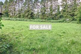 Property For Sale