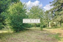 Property For Sale
