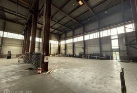 Commercial property in Jelgavas district for rent 13.125€
