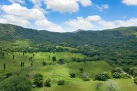 Finca Los Laureles: 150 Hectares, Mixed-Use, Developmental, Eco-Tourism