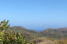 Finca Los Laureles: 150 Hectares, Mixed-Use, Developmental, Eco-Tourism