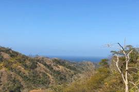 Finca Los Laureles: 150 Hectares, Mixed-Use, Developmental, Eco-Tourism