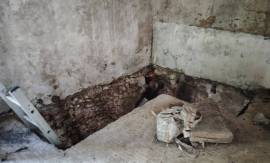 - House - Aquitaine - For Sale - 11903-LA