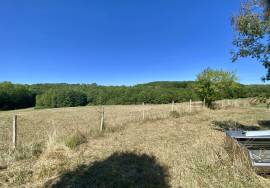 6 Bedrooms - House - Aquitaine - For Sale - 11963-EY