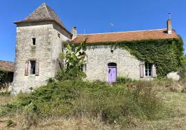 6 Bedrooms - House - Aquitaine - For Sale - 11963-EY