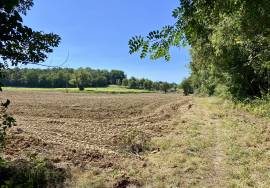 6 Bedrooms - House - Aquitaine - For Sale - 11963-EY