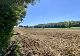 6 Bedrooms - House - Aquitaine - For Sale - 11963-EY