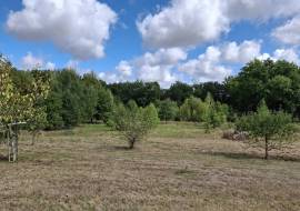 4 Bedrooms - House - Aquitaine - For Sale - 11992-Vi