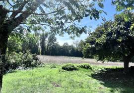 5 Bedrooms - House - Aquitaine - For Sale - 11986-EY