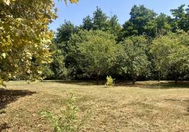 Ensemble immobilier d\'exception comprenant un moulin renove, un gite et une piscine.