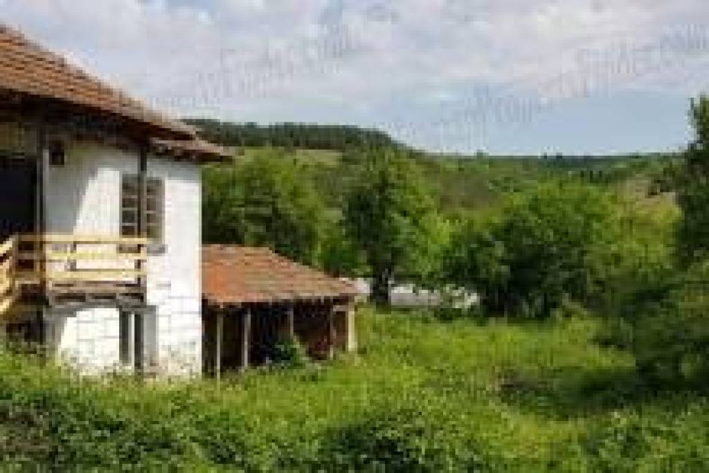 Mountain Home In Bulgaria Next To A Pinewood Forest
