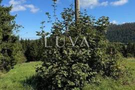 Gorski Kotar, Stara Sušica, 800 m² building plot for sale