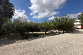 listing listing