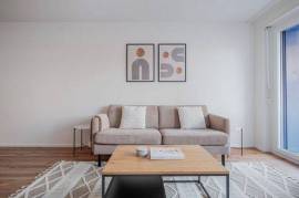 Stylish 3-Bedroom Furnished Apartment in Dietikon