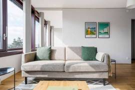 Beautiful 1-Bedroom Furnished Apartment in Basel-Vorstaedte