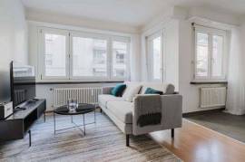 Sophisticated 1-Bedroom Furnished Apartment in Basel-Iselin