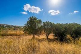 Plot for sale in Teulada of 13,000 m² near Moraira, Costa Blanca.