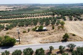 For Sale Land 866 m² in Chalkidiki