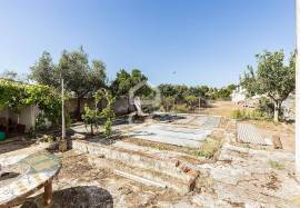 Villa Montemor-o-Novo Cabrela