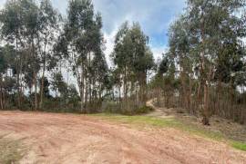 Terreno Rústico em Ramalhal a 10 minutos de Torres Vedras
