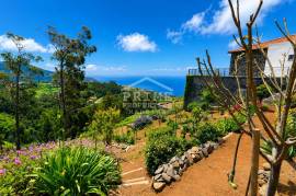 Escape to Nature at Casa do Eucalipto Escape to Nature at Casa do Eucalipto