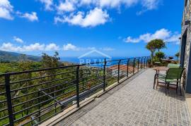 Escape to Nature at Casa do Eucalipto Escape to Nature at Casa do Eucalipto