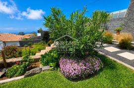 Escape to Nature at Casa do Eucalipto Escape to Nature at Casa do Eucalipto