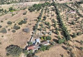 Farmhouse Arraiolos