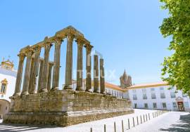 Renovated and Bright 2 Bedrooms in Vista Alegre – Évora Renovated and Bright 2 Bedrooms in Vista Alegre – Évora