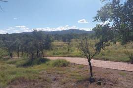 Maroelas Fontein - 735 Hectare Game & Cattle Farm For Sale In Limpopo, South Africa Maroelas Fontein - 735 Hectare Game & Cattle Farm For Sale In Limpopo, South Africa