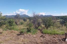 Maroelas Fontein - 735 Hectare Game & Cattle Farm For Sale In Limpopo, South Africa Maroelas Fontein - 735 Hectare Game & Cattle Farm For Sale In Limpopo, South Africa