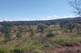 Maroelas Fontein - 735 Hectare Game & Cattle Farm For Sale In Limpopo, South Africa Maroelas Fontein - 735 Hectare Game & Cattle Farm For Sale In Limpopo, South Africa