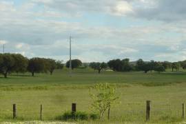 Stunning Multi Use Estate For Sale In Portalegre Portugal Stunning Multi Use Estate For Sale In Portalegre Portugal