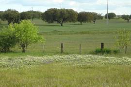Stunning Multi Use Estate For Sale In Portalegre Portugal Stunning Multi Use Estate For Sale In Portalegre Portugal