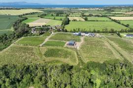 FAIRY TREES WINERY & DISTILLERY For Sale In Dunleer County Louth Ireland