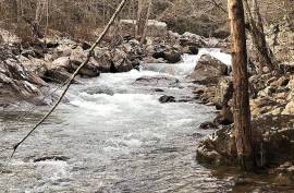 Excellent Plot of land for sale in Dunlap Tennessee USA Excellent Plot of land for sale in Dunlap Tennessee USA