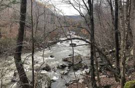 Excellent Plot of land for sale in Dunlap Tennessee USA Excellent Plot of land for sale in Dunlap Tennessee USA