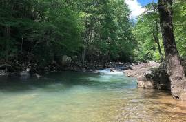 Excellent Plot of land for sale in Dunlap Tennessee USA Excellent Plot of land for sale in Dunlap Tennessee USA