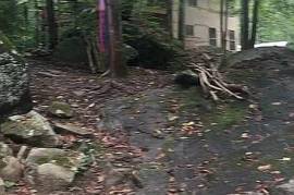 Excellent Plot of land for sale in Dunlap Tennessee USA Excellent Plot of land for sale in Dunlap Tennessee USA