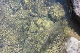 Excellent Plot of land for sale in Dunlap Tennessee USA Excellent Plot of land for sale in Dunlap Tennessee USA