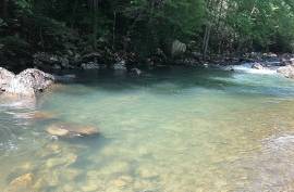 Excellent Plot of land for sale in Dunlap Tennessee USA Excellent Plot of land for sale in Dunlap Tennessee USA