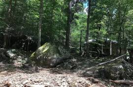 Excellent Plot of land for sale in Dunlap Tennessee USA Excellent Plot of land for sale in Dunlap Tennessee USA