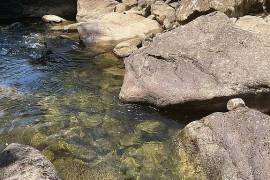 Excellent Plot of land for sale in Dunlap Tennessee USA Excellent Plot of land for sale in Dunlap Tennessee USA