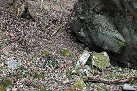 Excellent Plot of land for sale in Dunlap Tennessee USA Excellent Plot of land for sale in Dunlap Tennessee USA