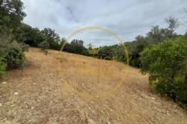 Investment Opportunity: Agricultural Land of 3,142 m² in Loulé, located on Estrada Nora dos Velhos. Investment Opportunity: 3,142 m² agricultural plot in Loulé, located on Estrada Nora dos Velhos.