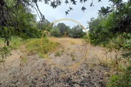Investment Opportunity: Agricultural Land of 3,142 m² in Loulé, located on Estrada Nora dos Velhos. Investment Opportunity: 3,142 m² agricultural plot in Loulé, located on Estrada Nora dos Velhos.