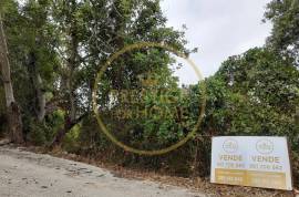 Investment Opportunity: Agricultural Land of 3,142 m² in Loulé, located on Estrada Nora dos Velhos. Investment Opportunity: 3,142 m² agricultural plot in Loulé, located on Estrada Nora dos Velhos.